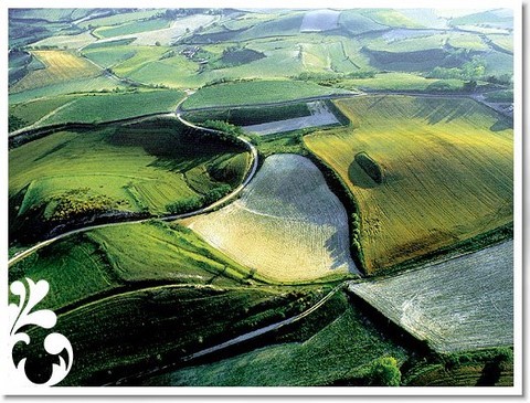 Paysage typique du Lauragais (source couleur pastel)